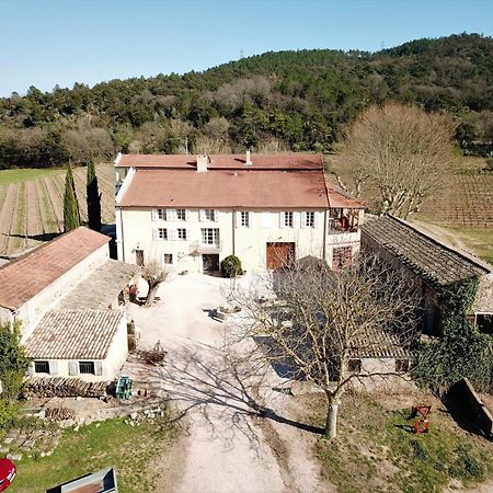 Gite Vert D'Olive Au Milieu Des Vignes. Chateau Les Apies Les Arcs-sur-Argens Exterior foto